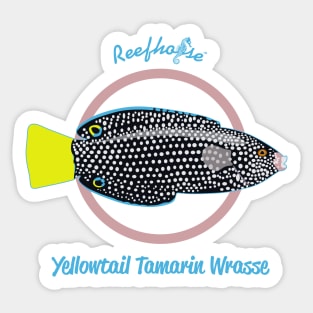 Yellowtail Tamarin Wrasse Sticker